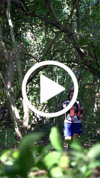 BIB:  <button type="button" onclick="openModal(28083187)" class="btn btn-primary btn-sm float-right" data-toggle="modal" data-target=".modal-high-quality">
                <i class="fa fa-download"></i> Download
                </button>